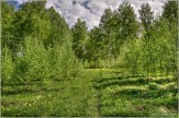 Продаю участок 10 соток в 15 км.от центра Казани в с.Семиозерка.