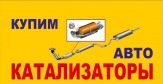 Купим автокатализаторы 2500 р за 1 кг